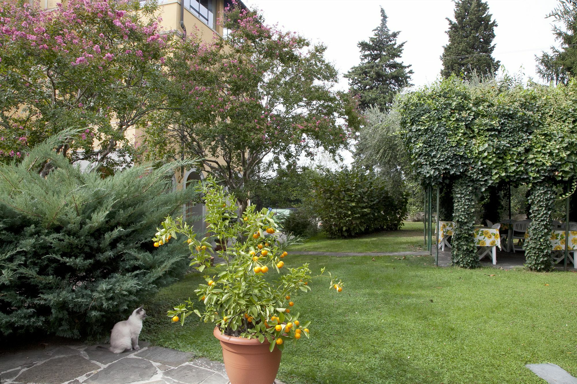 B&B Villa La Sosta Firenze Eksteriør billede